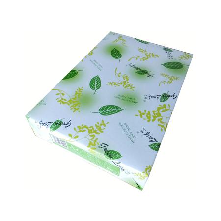 绿叶(Green Leaf) 优等品 绿色复印纸 绿色80克A4 500张/包 单价 元/包 （10包/箱）