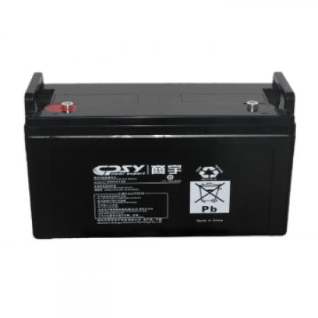 商宇/CPSY UPS专用12V100AH铅酸蓄电池GW12100（政采型号）