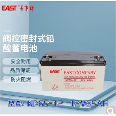 EAST易事特蓄电池NP100-1212V100AH免维护消防UPS机房后备电池