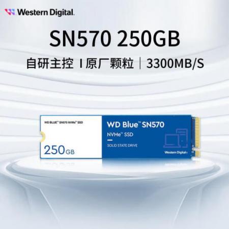 西部数据（Western Digital）SN570 250GB SSD固态硬盘 M.2接口（NVMe协议）